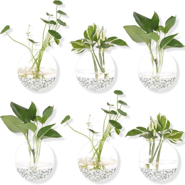 Unbrand 6 Pack Round Glass Hanging Wall Planters, Wall Mounted Propagation  Station Terrarium Vases for Plants ENHD20677