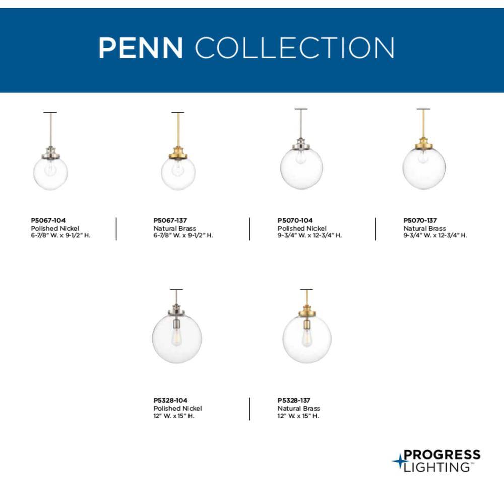 Penn Natural Brass Pendant with Clear Glass Globe