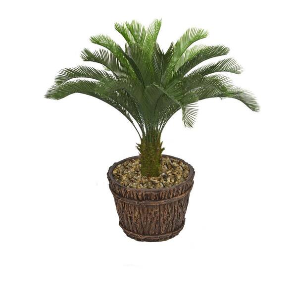 Laura Ashley 56 in. Tall Cycas Palm Tree in Planter