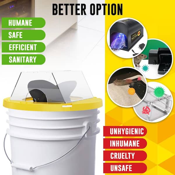 Buy 2 Pack Mouse Traps Bucket,Flip And Slide Mouse Trap Reusable Humane Rat Lid Trap Auto Reset Multi Catch Compatible 5 Gallon Mice Control Traps