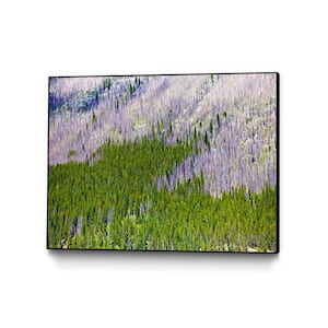 "Landscape IV" by Peter Morneau Framed Abstract Wall Art Print 28 in. x 22 in.