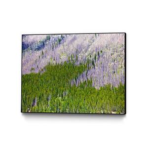 ''Landscape IV'' by Peter Morneau Framed Abstract Wall Art Print 32 in. x 24 in.