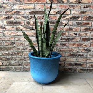 18.9 in. x 15.75 in. H Blue Lightweight Concrete Vibrant Ombre Tulip Large Planter