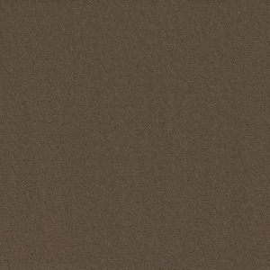 Adalida - Basalt - Brown 40 oz. SD Polyester Pattern Installed Carpet