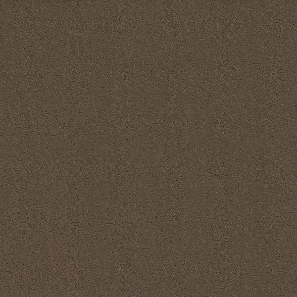 Home Decorators Collection Adalida - Basalt - Brown 40 oz. SD Polyester Pattern Carpet - Installation Required