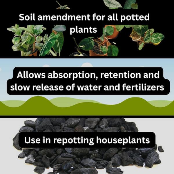 2.25 Qt. Dry Horticultural Charcoal