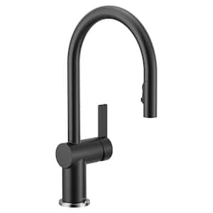 Cia Single-Handle Pull-Down Sprayer Kitchen Faucet with Power Boost in Matte Black