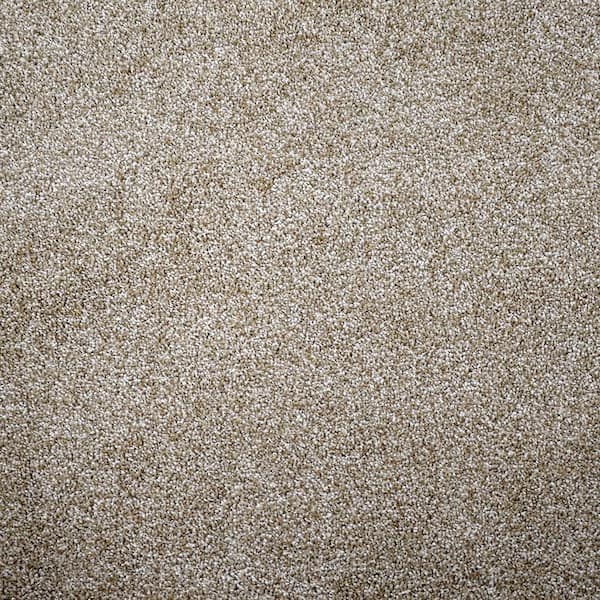 Home Decorators Collection Soft Breath I  - Oakshire - Beige 40 oz. SD Polyester Texture Installed Carpet