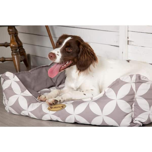 Scruffs pet outlet beds