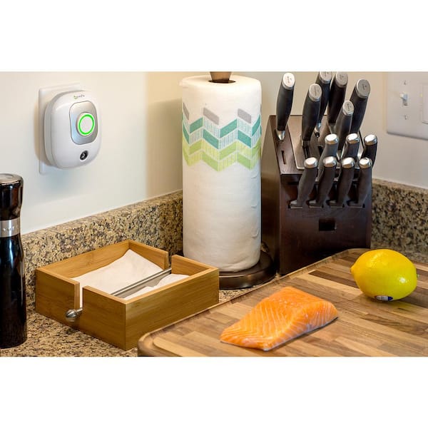 Airhood Portable Kitchen Air Cleaner - Green