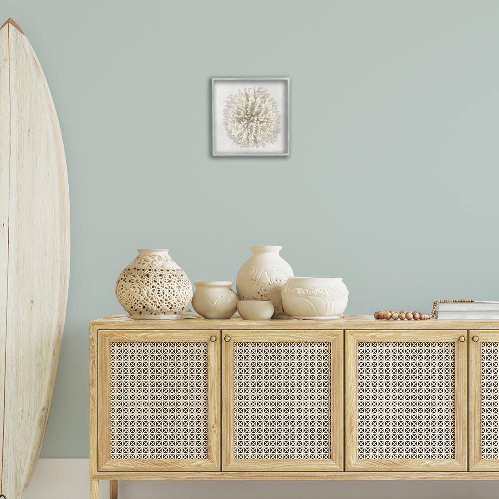 Natural Round Coral by Caroline Kelly Gray Framed Animal Giclee Art Print 12 in. x 12 in. price history on PriceWatchPro