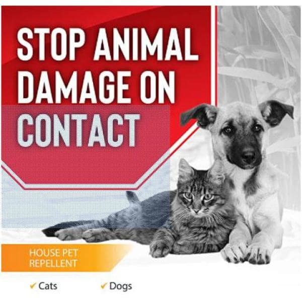 Dog and cat repellent home outlet depot