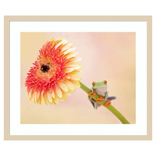 Amanti Art Hanging On IX by PHBurchett 1 Piece Framed Giclee Animal Art Print 21 in. x 25 in.