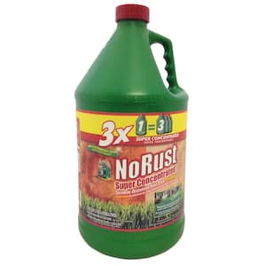 Pro Products 64 oz. Stain Preventer 2X Rid O' Rust RR1 - The Home