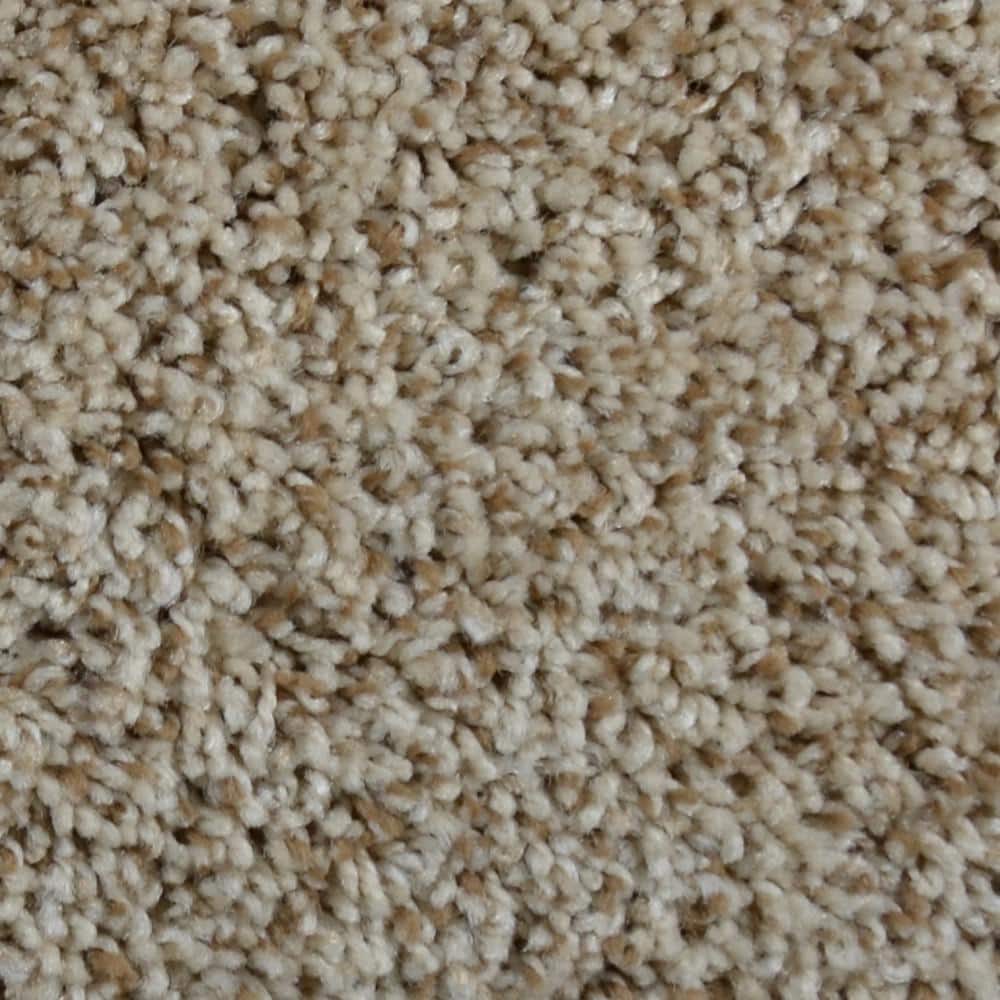 8 in. x  8 in. Texture Carpet Sample - Captain -Color Landover price history on PriceWatchPro
