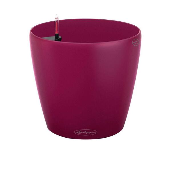 Lechuza Trend Classico Color 8 in. Dia Purple Garnet Self Watering Plastic Planter
