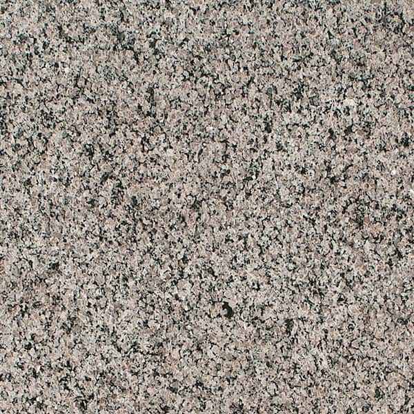 STONEMARK 3 in. x 3 in. Granite Countertop Sample in New Caledonia