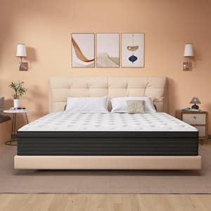 Comfortable Queen Medium Memory Foam 10 in. Bed-in-a-Box Mattress