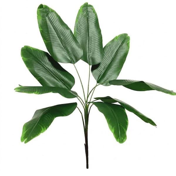 is a zz plant a succulent ZZ Plant – Jungle & Loom main image 0
