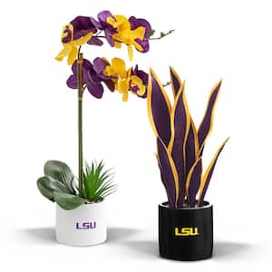 20 in. LSU Tigers Artificial Snake Plant and Orchid - Fan-Favorite College University Gift Bundle (2-Pack)