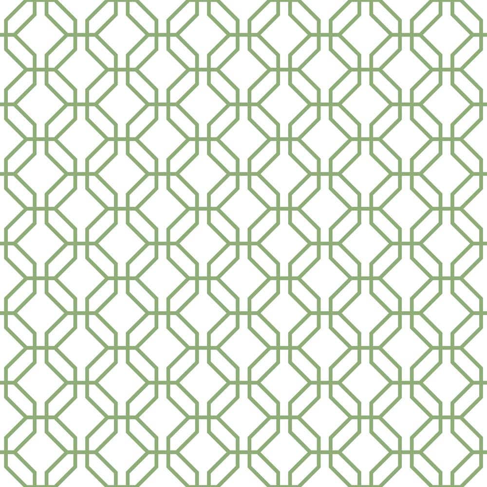 Secret Garden White and Green Octagonal Trellis Non-Woven Paper Non-Pasted 