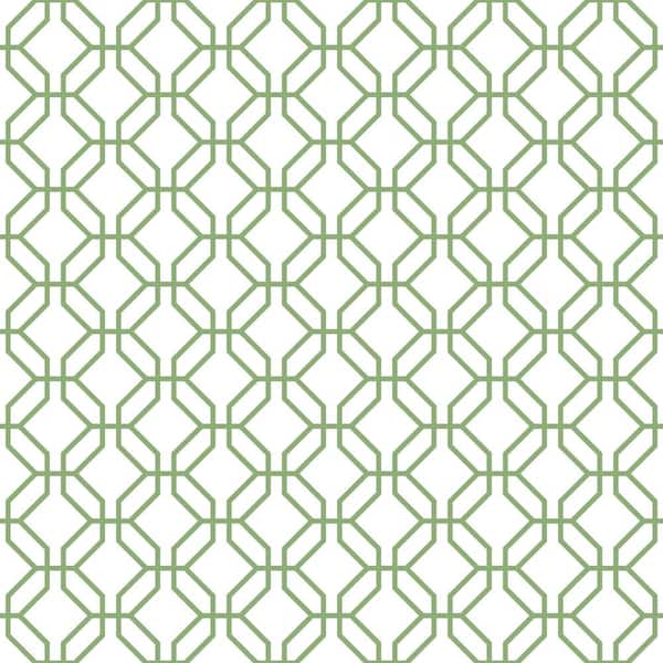 Unbranded Secret Garden White and Green Octagonal Trellis Non-Woven Paper Non-Pasted Wallpaper Roll (Covers 57.75 sq.ft)