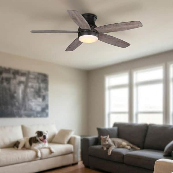 Home Decorators Collection Ashby Park 52 in. White Color Changing