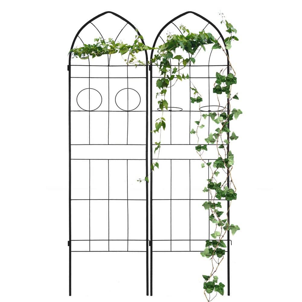 "Metal Garden Trellis for Climbing Plants 19.7"" L x 78.7"" H Large Plant Vegetables Flower Support Trellis (Black, 2 Pack)" price history on PriceWatchPro