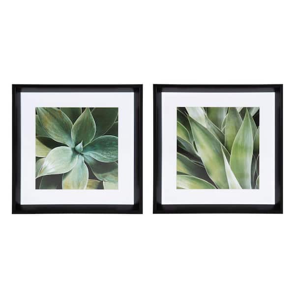 Kate and Laurel Calter "Succulent Leaves" by Amy Peterson Framed Canvas Wall Art Set 15 in. x 15 in.
