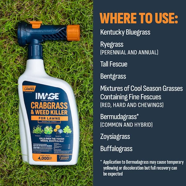 32 oz. 4,000 sq. ft. Lawn Weed and Crabgrass Killer Ready-To-Spray for 200-Plus Weed Types