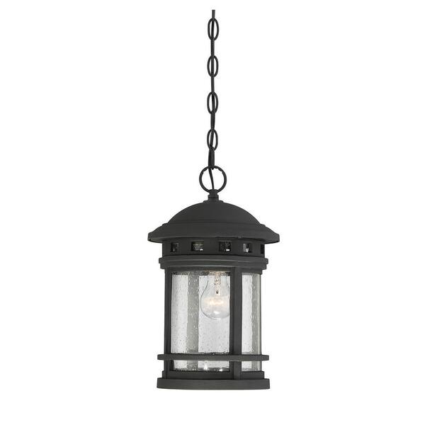 Filament Design 1-Light Black Outdoor Hanging Lantern