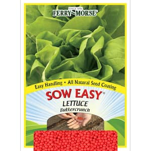 Sow Easy Lettuce Buttercrunch Seeds