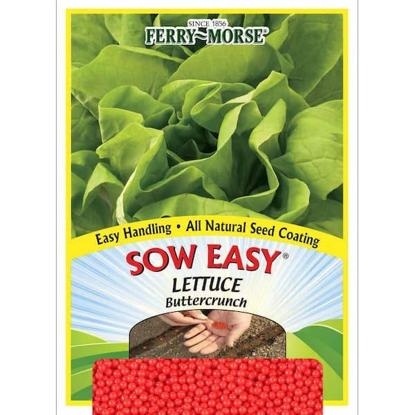 Ferry-Morse Sow Easy Lettuce Buttercrunch Seeds