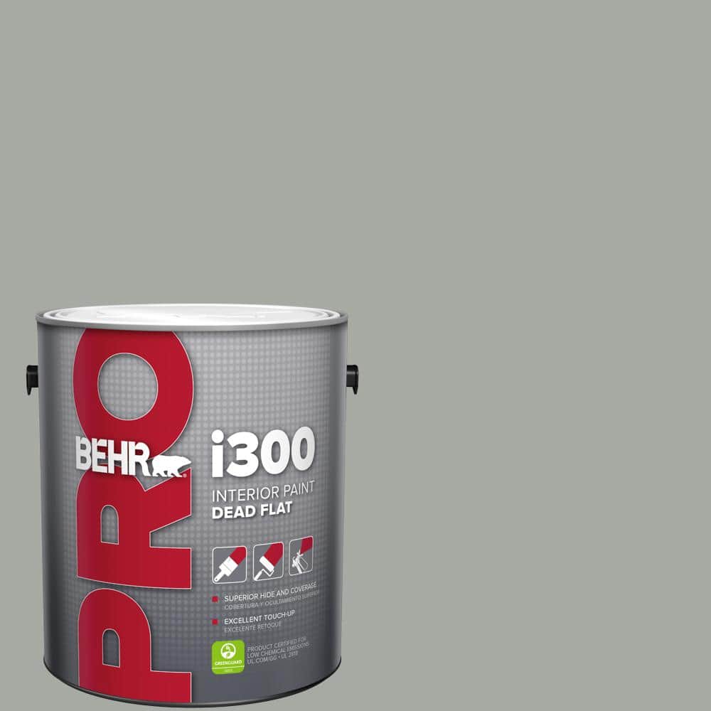 1 gal. #ECC-35-1 Silver Clouds Dead Flat Interior Paint price history on PriceWatchPro