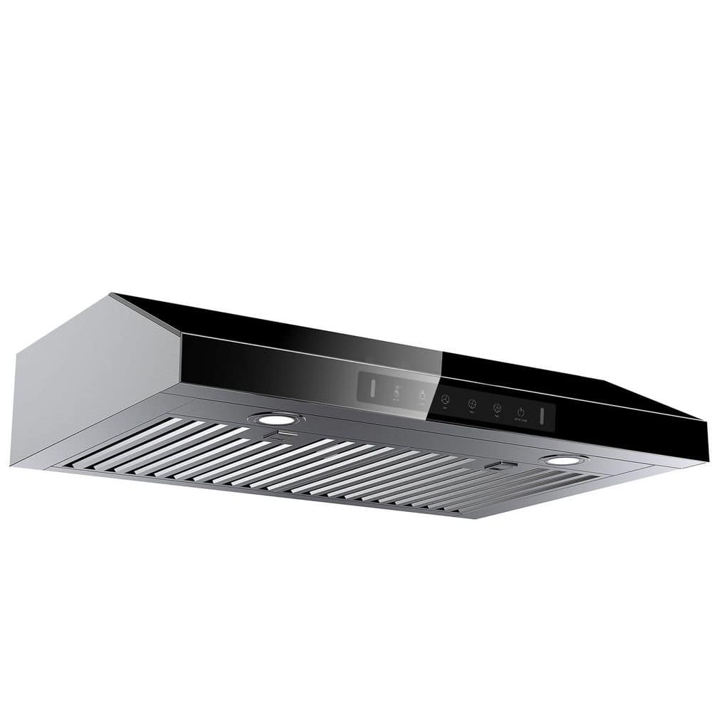 30 in. 900 CFM Ducted Under Cabinet Range Hood in Stainless Steel and Black Glass with Lights