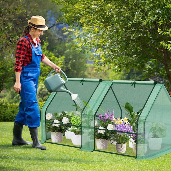 Aoodor 6 ft. W x 3 ft. D x 3 ft. H Portable Mini Greenhouse Kit