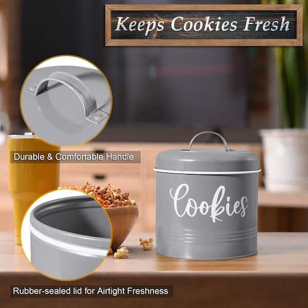 Wudkey 1-Piece 1 gal. Large Gray Vintage BPA-Free Metal Cookie Jar