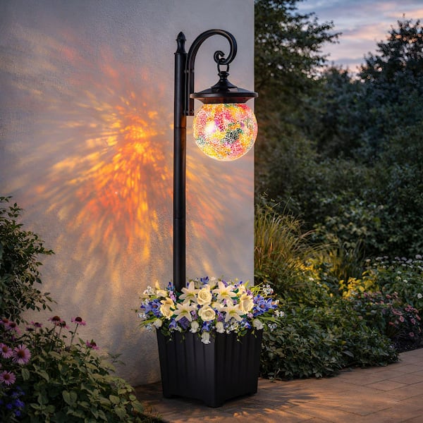 C Cattleya 1-Light Solar Plastic Black LED Outdoor Weather