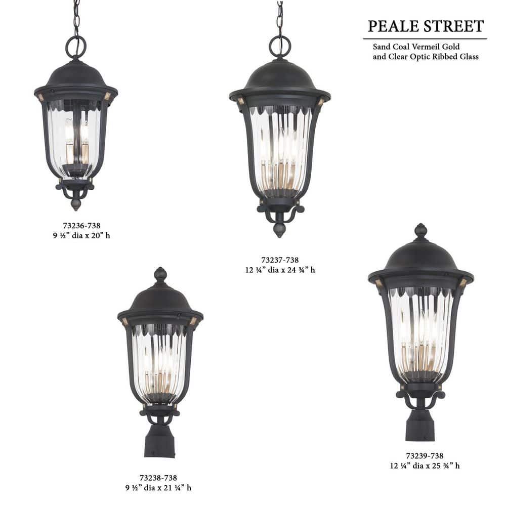 Peale Street Black and Gold 4-Light Outdoor Hanging Lantern