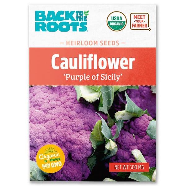 Organic Cauliflower Purple of Sicily Seed (1-Pack)