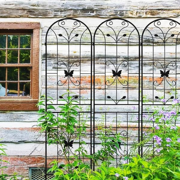 Zeus & Ruta 86 .7 in. H Iron 2 Pack Metal Garden Trellis Rustproof ...