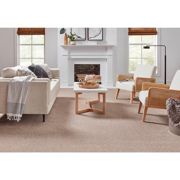 Playful Moments II Harmony Brown 49 oz Triexta Texture Installed Carpet