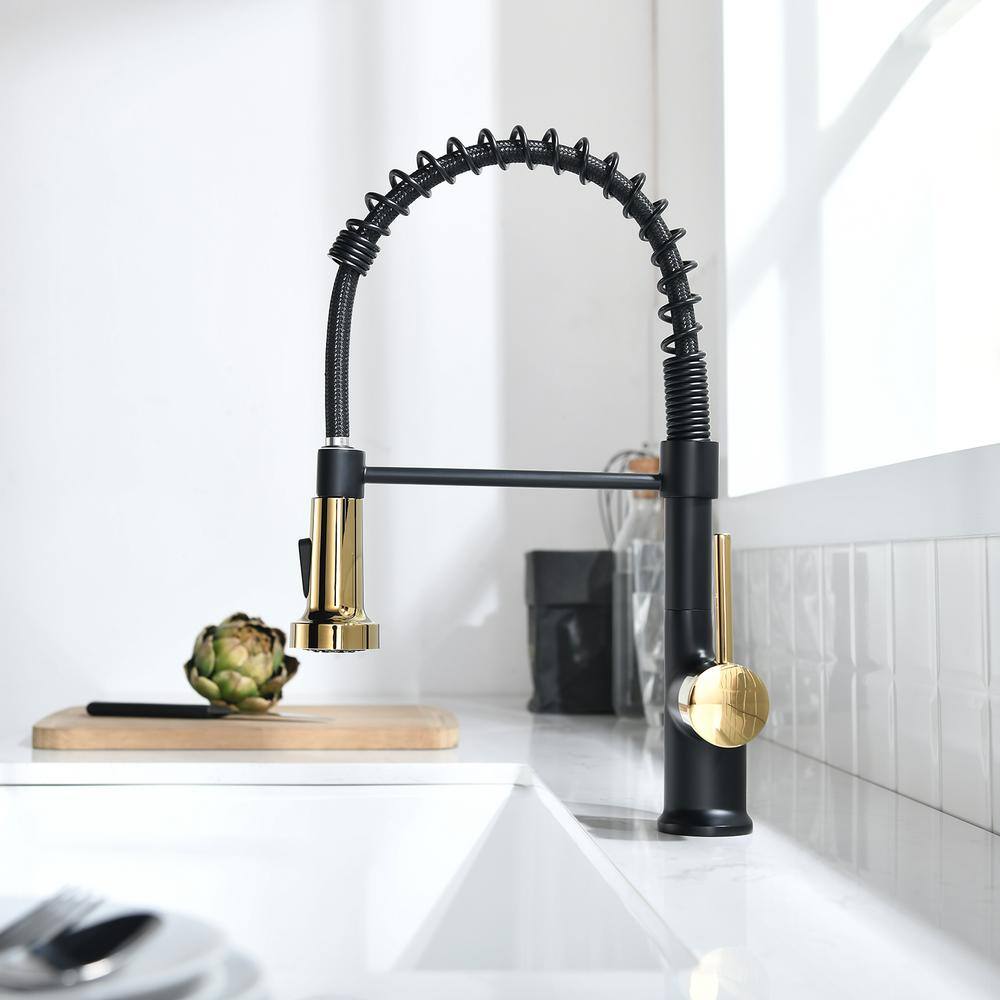 Matte Black and Gold LED Pull Down Kitchen Faucet