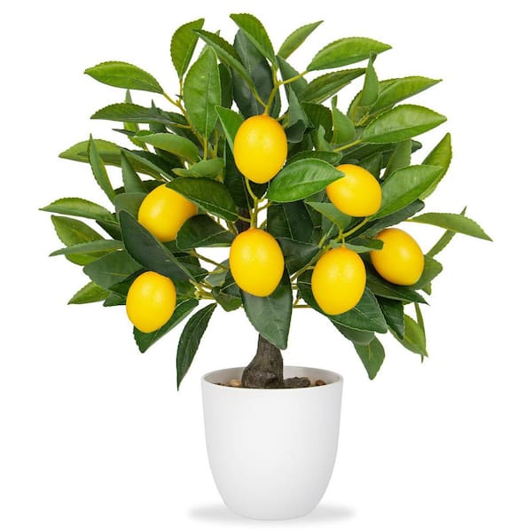 1.3 ft. Artificial Lemon Tree in White Pot-Faux Potted Plant for Home & Office Decor
