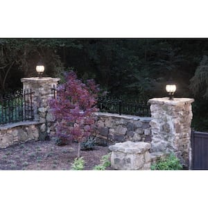 Onion Lantern Collection 4-Light Textured Black Clear Beveled Glass Traditional Outdoor Post Lantern Light