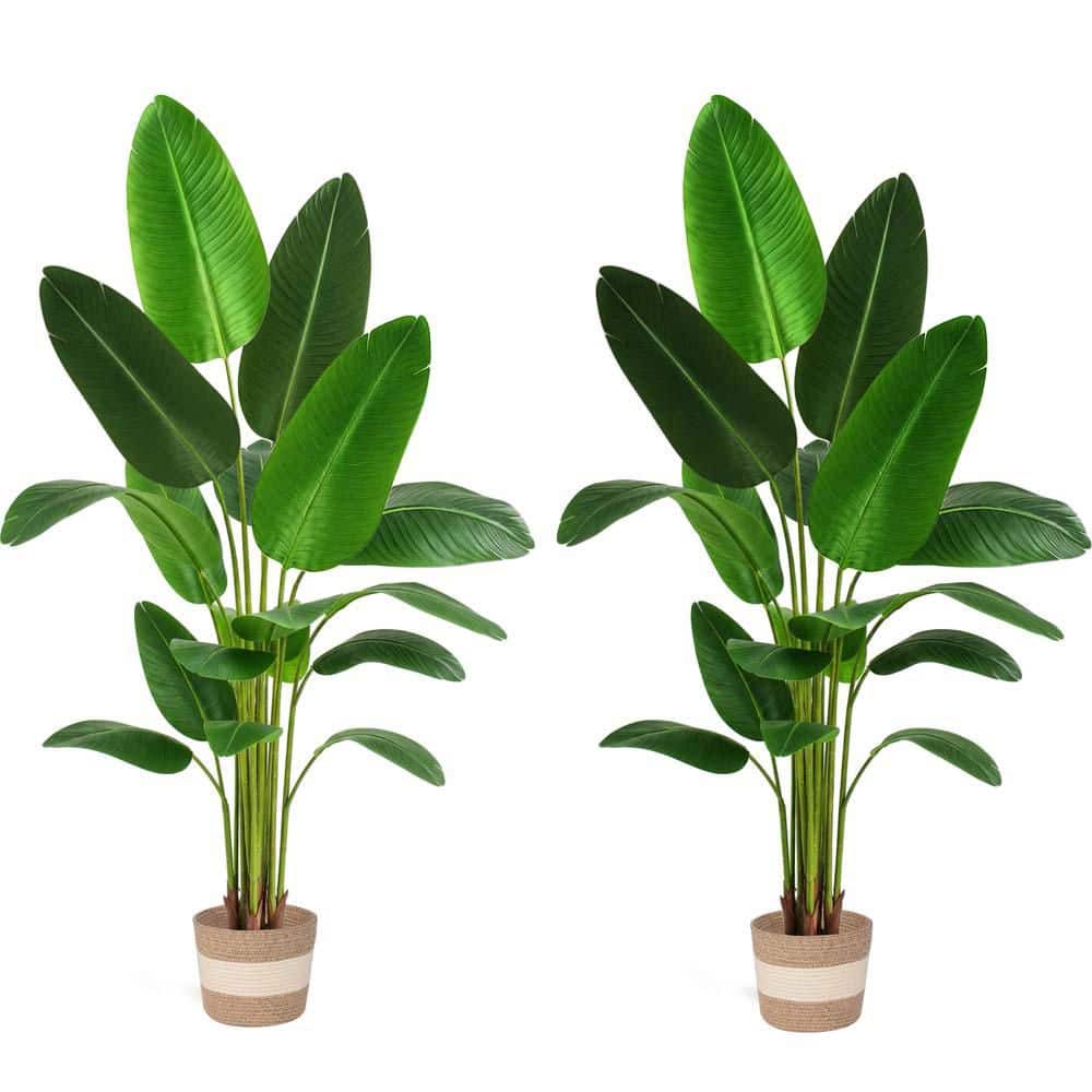 6 ft Bird of Paradise Artificial Faux Banana Leaf Tree, 2 Pack, Large Decorative Artificial Plants for Indoor Decor price history on PriceWatchPro