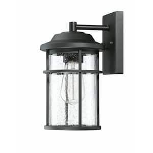 1-Light Matte Black Outdoor Wall Sconce Lantern Light