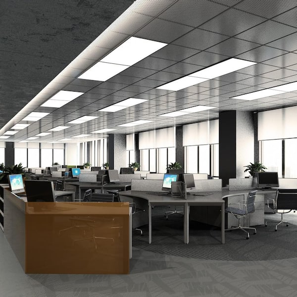 15-Watt 18 in. T8 G13 Linear Fluorescent Tube Light Bulb, Daylight Deluxe 6500K (6-Pack)