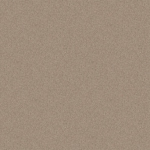 Watercolors I - Biscuit - Brown 28.8 oz. Polyester Texture Installed Carpet