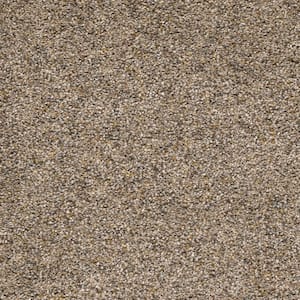 Whispers  - Secret - Beige 38 oz. SD Polyester Texture Installed Carpet